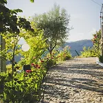 Casa Do Romezal Peso da Régua