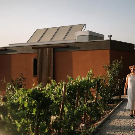 Casa Do Romezal Peso da Régua