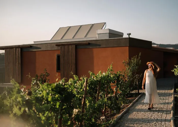 Casa Do Romezal Peso da Régua