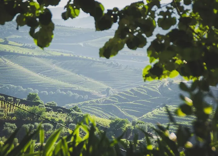 Casa Do Romezal 페소다레과