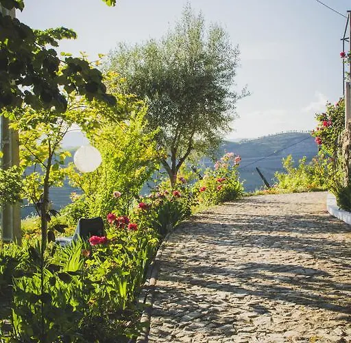 Casa Do Romezal Peso da Régua