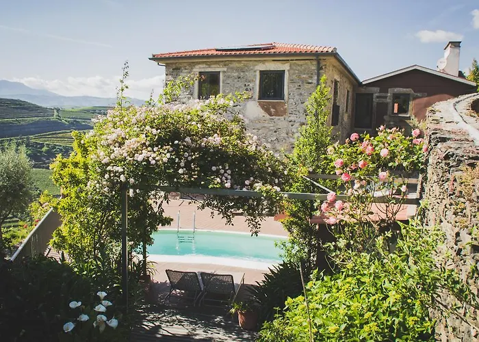 Maison d'hôtes Casa Do Romezal Peso da Régua